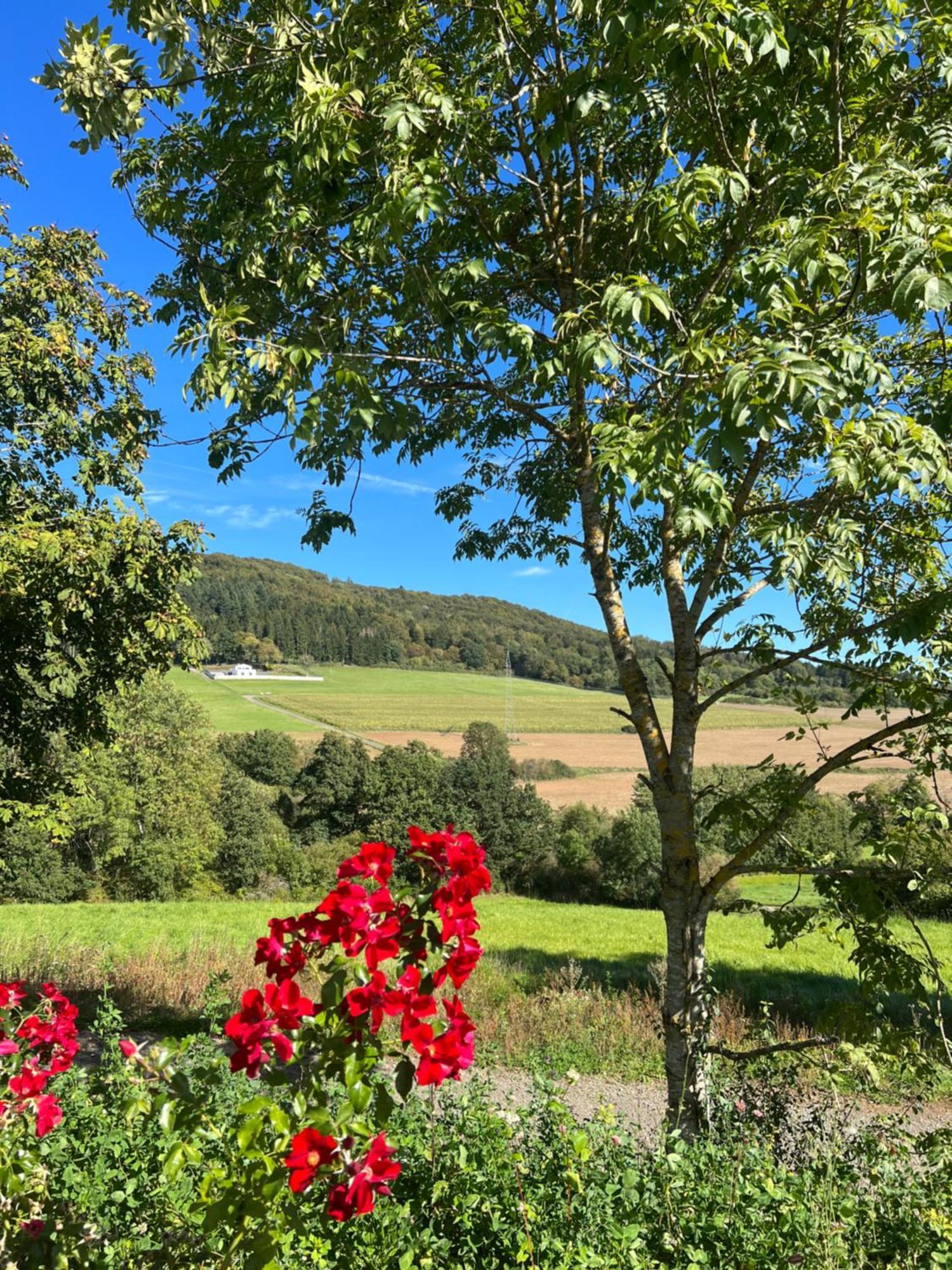 Netten Naturerlebnis Holz-chalets Chalet *